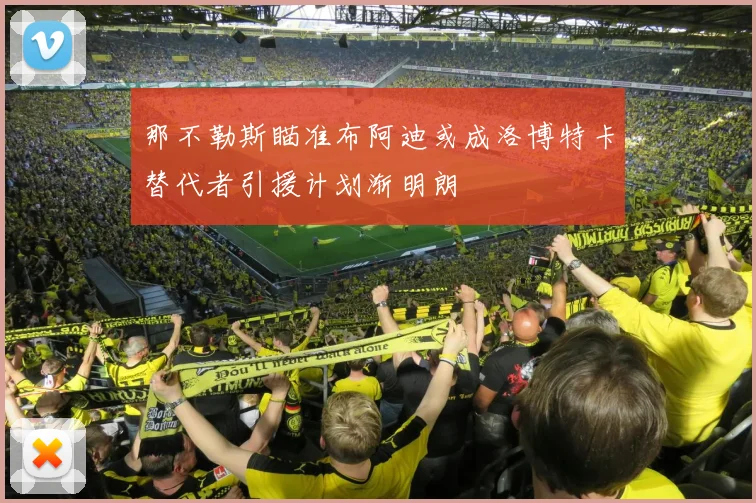 那不勒斯瞄准布阿迪或成洛博特卡替代者引援计划渐明朗